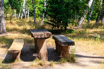 Picnic site in birch grove. Wooden table and benches in birch forest