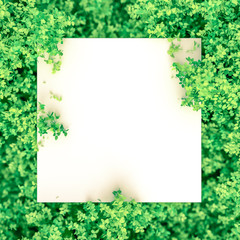 Beautiful summer background with leaves. 3d illustration, 3d rendering.