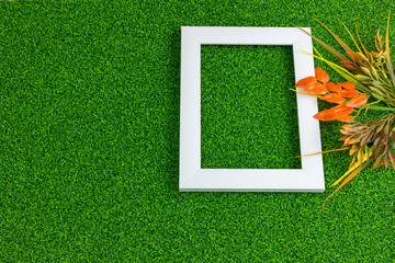 Autumn Leaves Grass Background Flat lay