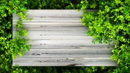 Beautiful summer background with leaves and white space. 3d illustration, 3d rendering.