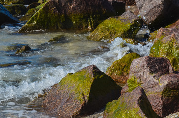 sea coast ocean