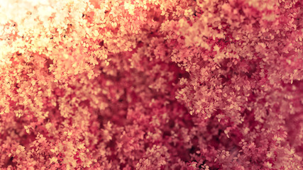 Beautiful pink background with leaves, season of the year. 3d illustration, 3d rendering.