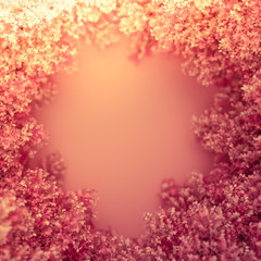 Beautiful pink background with leaves, season of the year. 3d illustration, 3d rendering.