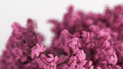 Beautiful pink background with leaves on white, the season of the year. 3d illustration, 3d rendering.