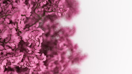 Fototapeta premium Beautiful pink background with leaves on white, the season of the year. 3d illustration, 3d rendering.