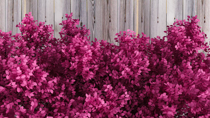 Beautiful pink background with leaves and wood texture, season of the year. 3d illustration, 3d rendering.