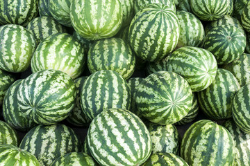 Pile of striped green watermelons close-up. Nature background