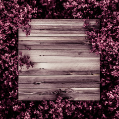 Beautiful pink background with leaves and wood texture, season of the year. 3d illustration, 3d rendering.