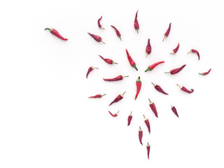 Dried chili peppers are arranged in the form of an abstract figure on a white background.