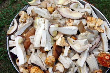 bolets et ceps nettoyés