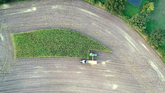 Maisernte, Maish&auml;cksler in Aktion, Erntewagen mit Traktor