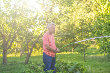 old senior male farmer pouring water on summer day © Mihail