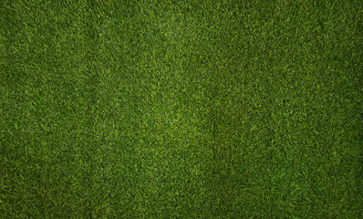 Grass background