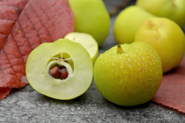 Fototapeta na wymiar quince fresh fruits bio organic