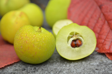 quince fresh fruits bio organic