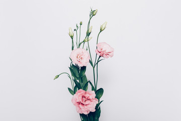 Pink flowers bouquet on white background