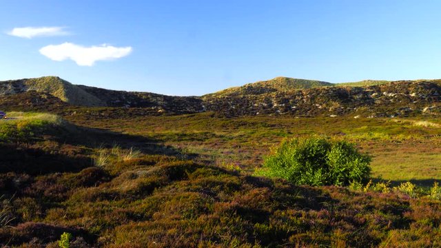 Sylt Wander D&uuml;nen und Heide Landschaft 