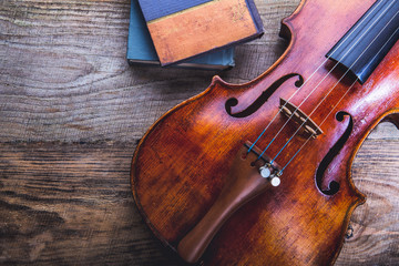 The violin on a boards background