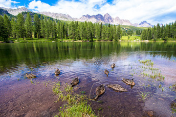 San Pellegrino lake in the Italian Dolomites