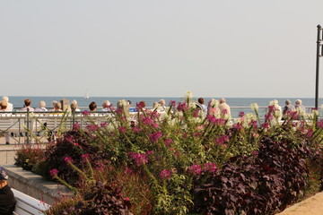 Blick über die Strandpromenade in Kühlungsborn-Ost auf die Ostsee