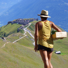 récolte en zone montagne - femme de dos