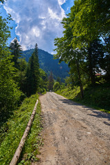 Fototapeta premium road in the Carpathian mountains