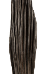 Product from the roots of oak in white background.