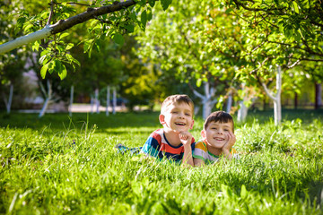 Naklejka premium Happy children having fun outdoors. Kids playing in summer park. Little boy and his brother laying on green fresh grass holiday camp.