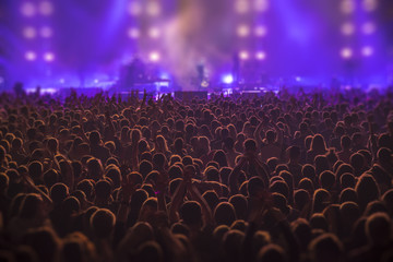 Obraz premium People at the concert