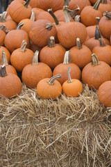 Pumpkins on a Bale of Hay