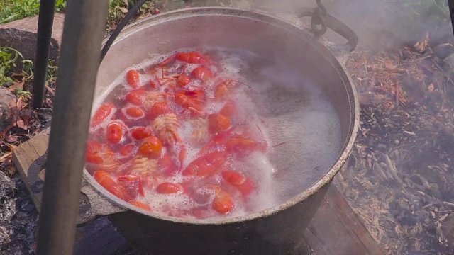 Crayfish are boiled at the stake on fire. Lunch in the open air.