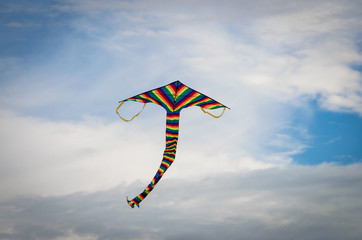 kite in the sky