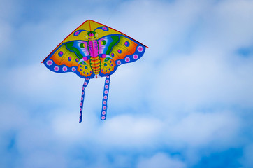 autumn fun with flyig kite