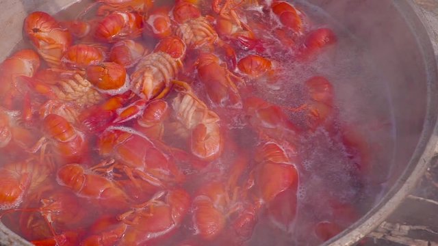 Crayfish are boiled at the stake on fire. Lunch in the open air.