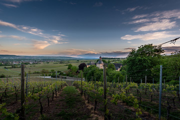 Sunset at the Schloss Vollrads, Oestrich Winkel, Germany