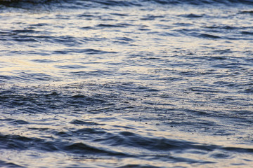 Waves on the sandy shore of a large river. The rays of light are reflected in the waves.