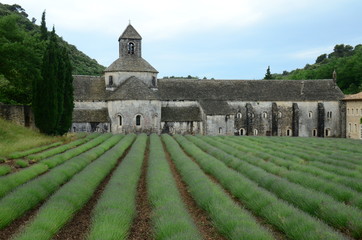 Notre Dame de Senanque - Provence, Frankreich