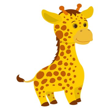 Hand drawn giraffe. Natural colors. Collection of vector hand drawn elements. Illustration