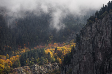 Autumn in the Rhodope mountain range.The mountain is covered with fog