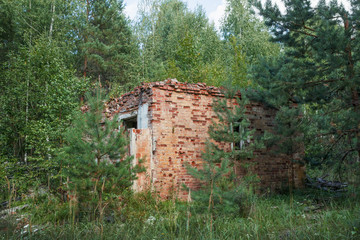 Fototapeta na wymiar Ruins of a building abandoned in the forest