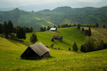 hills and houses