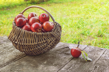 basket with fresh red apples on a wood. harvesting