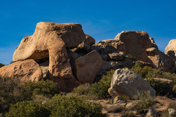 Southwest desert landscape, blue sky, desert plants, yucca and large boulders in foreground,