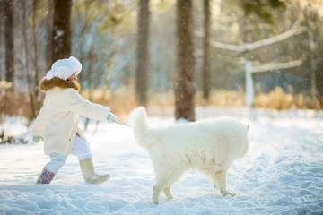 Winter girl portrait with samoyed dog