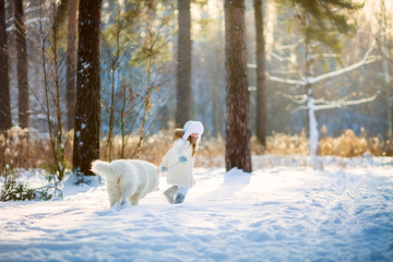 Winter girl portrait with samoyed dog