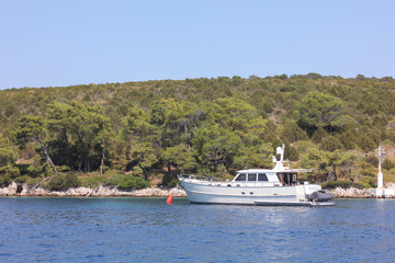 Fototapeta na wymiar Sail boat on blue water