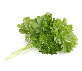 fresh parsley herb  leaves isolated on white background cutout