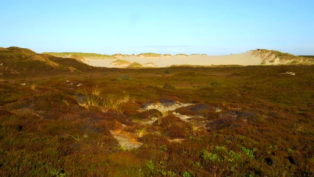 Sylt D&uuml;nen Landschaft - Wanderd&uuml;nen Lister Ellenbogen
