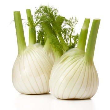 Fresh fennel bulb isolated on white background close up