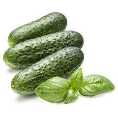 Cucumber vegetable and basil leaves isolated on white background cutout
